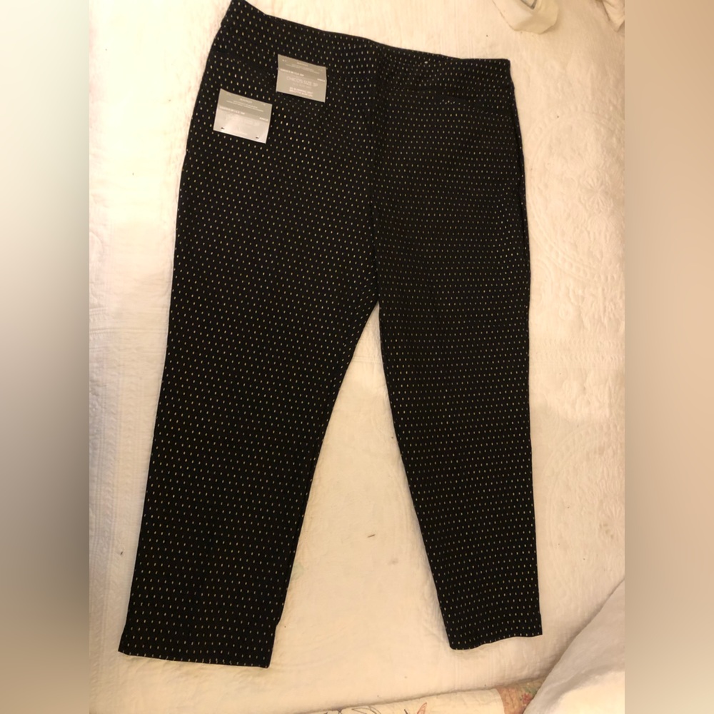 Brand new Chicos 3P/16P Pants